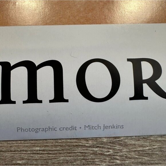 Alanis Morissette Rare Vintage 90s Poster 24X33.5 Alternative Rock POP Rock ICON - Picture 5 of 6